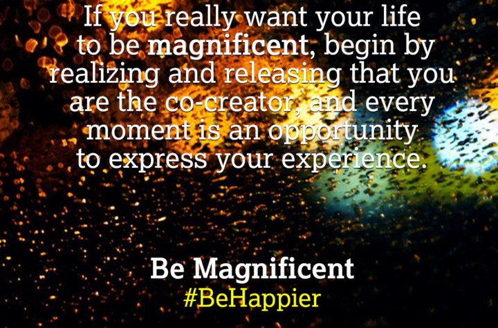 Be Magnificent | Happiness Tip #91 to Spark Permanent Happiness in Life & Work. Know and Learn more at HAPPIER INDIA